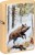 60007521_h259892_2519_5790_1_zippo_wild_boar.jpg