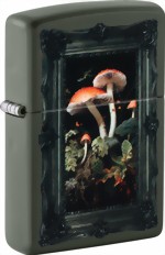 60007539_h259879_2519_5790_1_mushroom_picture-medium.jpg